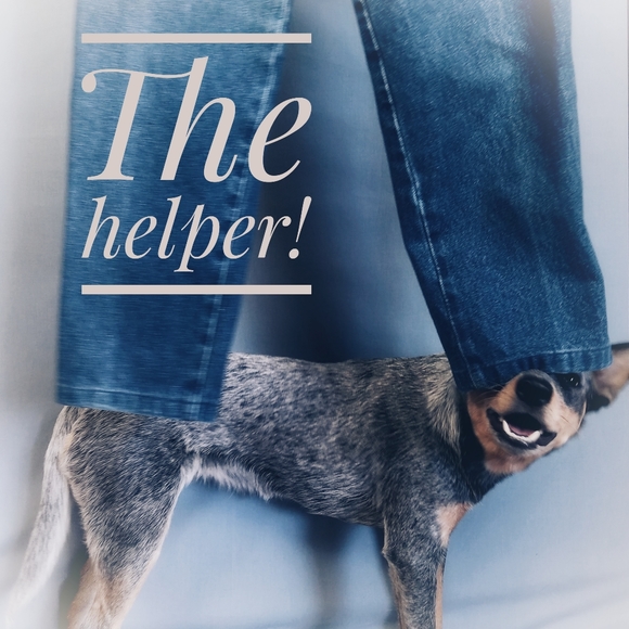 Pet Friendly Home! - Picture 1 of 1